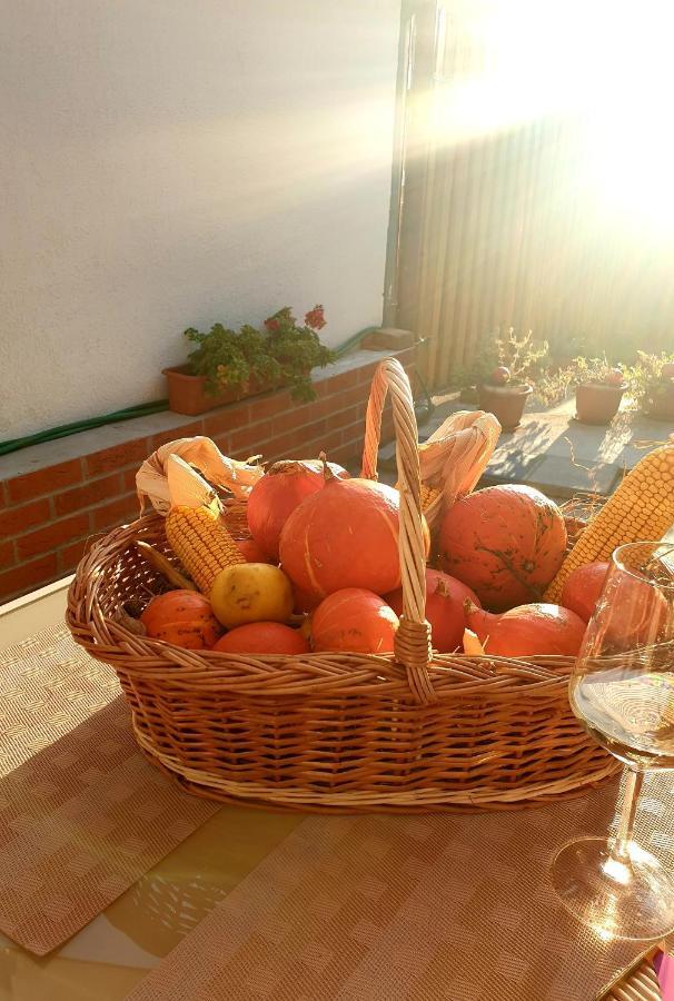 Apartament Casa Sperantei Sighișoara Zewnętrze zdjęcie